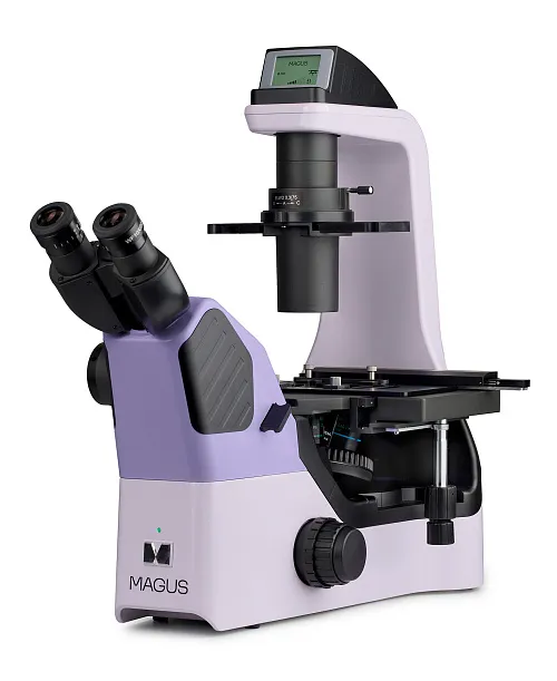 Микроскоп биологический инвертированный MAGUS Bio V360 картинка