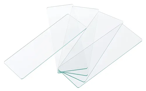 Стекла предметные Levenhuk Discovery 50 картинка