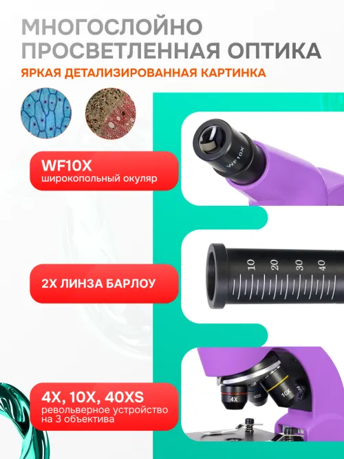 Микроскоп Levenhuk Rainbow 50L изображение