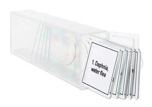 Набор микропрепаратов Levenhuk Discovery Prof DPS 5. «Жизнь в капле воды» картинка