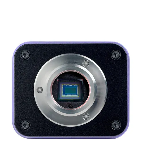 Микроскоп биологический инвертированный цифровой MAGUS Bio VD300 LCD изображение