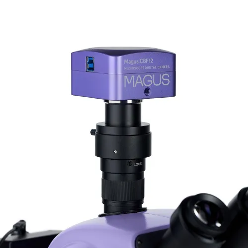 Микроскоп стереоскопический цифровой MAGUS Stereo D9T изображение