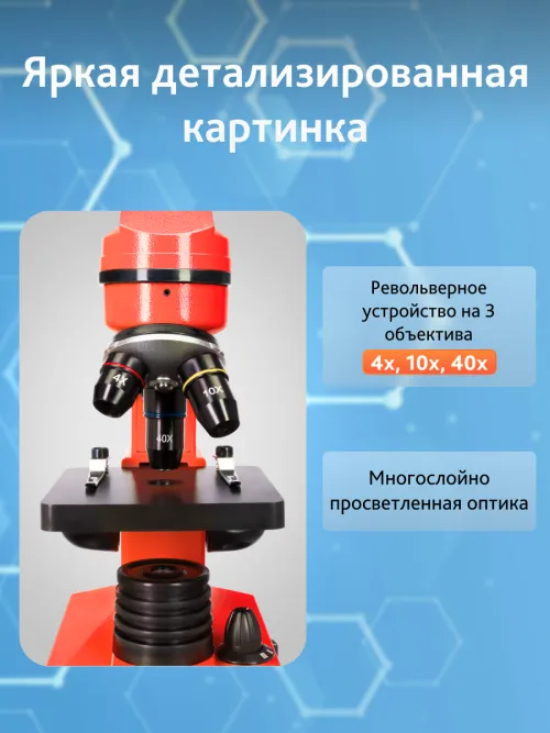 Микроскоп Levenhuk Rainbow 2L картинка
