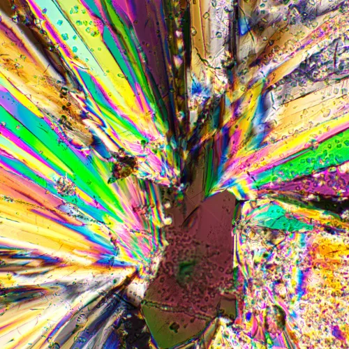 Устройство простой поляризации MAGUS SPD2 изображение