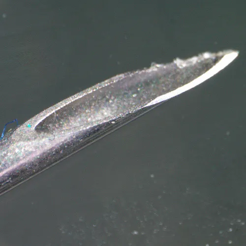 Микроскоп стереоскопический MAGUS Stereo 9T изображение