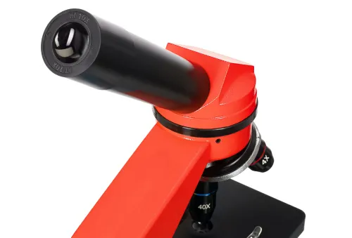 Микроскоп Levenhuk Rainbow 2L фото