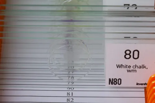 Набор микропрепаратов Levenhuk N80 NG «Увидеть все!» фотография