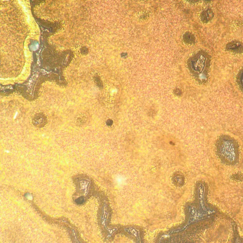 Микроскоп металлографический инвертированный MAGUS Metal V790 DIC картинка