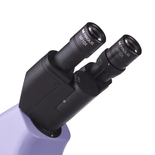 Микроскоп биологический MAGUS Bio 230BL фотография