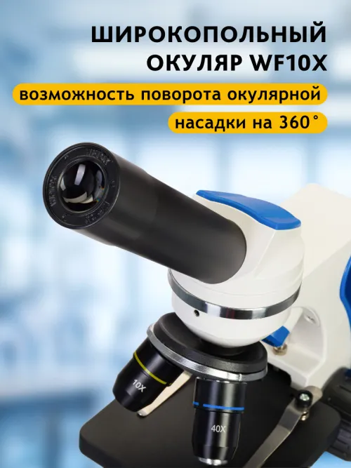 Микроскоп Levenhuk Discovery Pico с книгой картинка