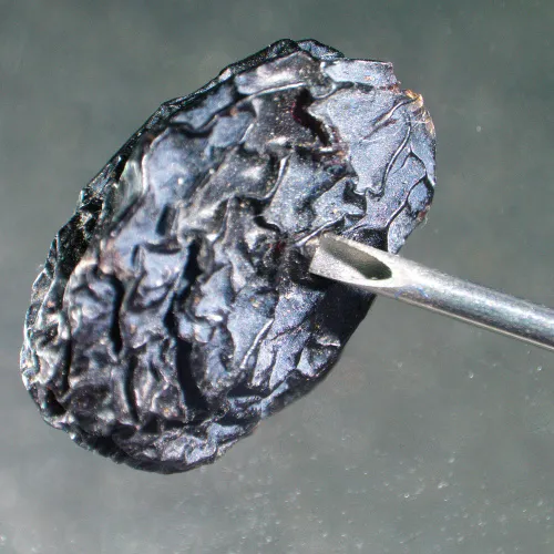 Микроскоп стереоскопический MAGUS Stereo A6 изображение