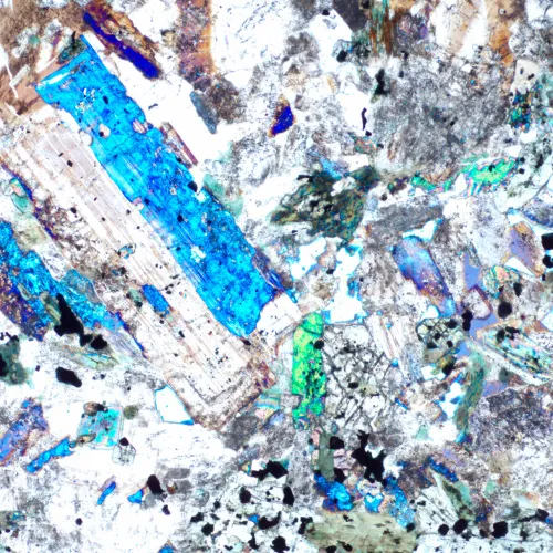 Микроскоп поляризационный цифровой MAGUS Pol D850 LCD картинка