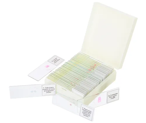 Набор микропрепаратов Levenhuk Discovery Prof DPS 25. «Биология, Птицы и др.» картинка