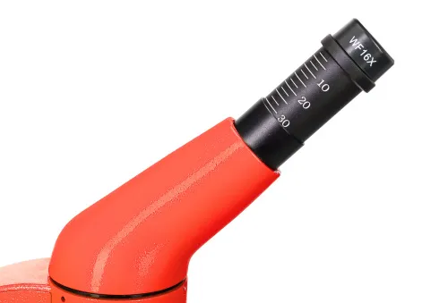 Микроскоп Levenhuk Rainbow 50L PLUS фото