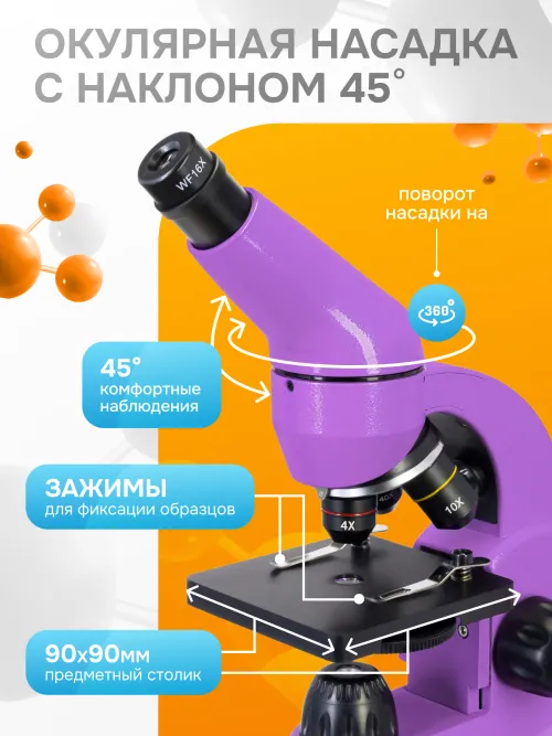 Микроскоп Levenhuk Rainbow 50L PLUS картинка
