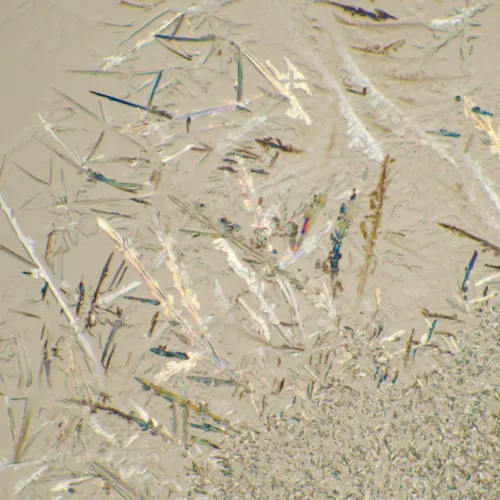 Микроскоп биологический MAGUS Bio 230T изображение