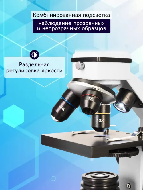 Микроскоп Levenhuk Rainbow 2L PLUS изображение