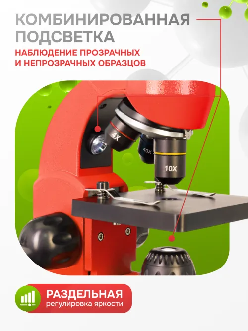 Микроскоп Levenhuk Rainbow 50L PLUS фото