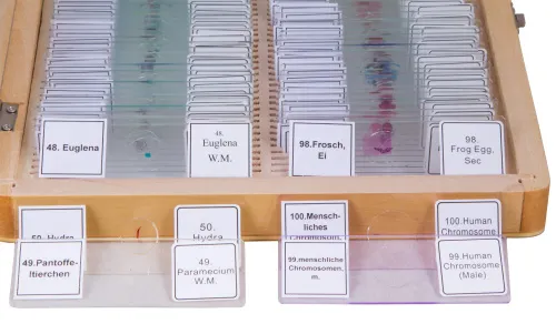 Набор микропрепаратов Bresser 100 шт., в кейсе фото