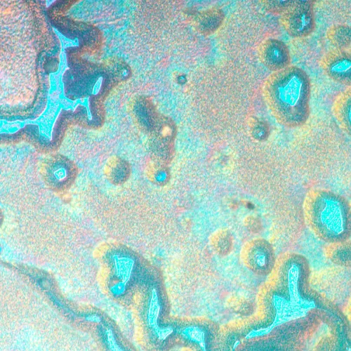 Микроскоп металлографический инвертированный MAGUS Metal V790 DIC фото