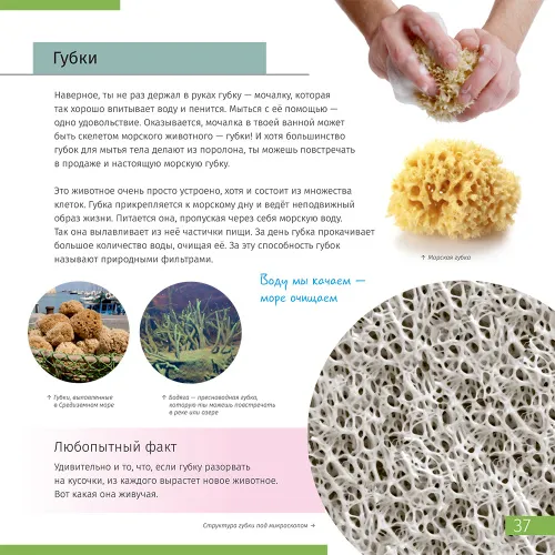 Книга знаний «Невидимый мир». Твердая обложка фотография