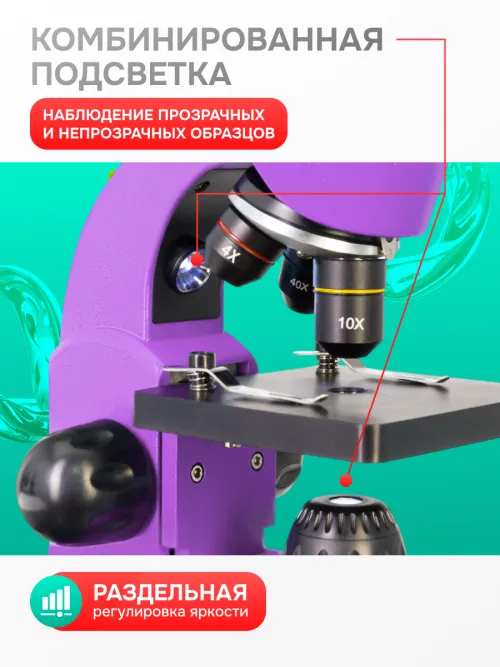 Микроскоп Levenhuk Rainbow 50L фото