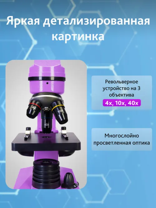 Микроскоп Levenhuk Rainbow 2L картинка