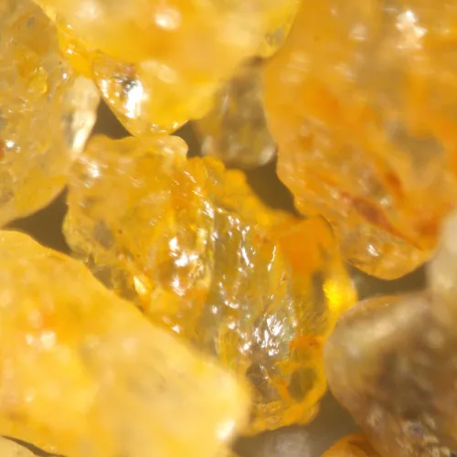 Микроскоп стереоскопический MAGUS Stereo A18T фотография