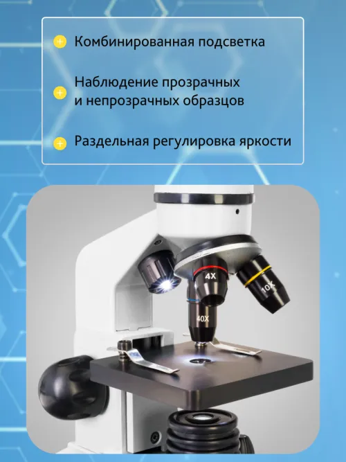 Микроскоп Levenhuk Rainbow 2L изображение