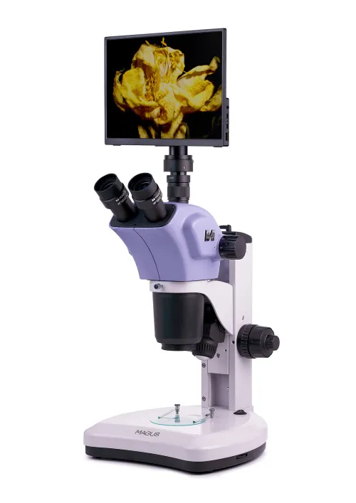 Микроскоп стереоскопический цифровой MAGUS Stereo D9T LCD фотография