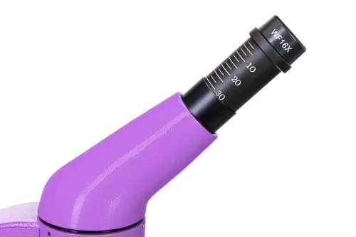 Микроскоп Levenhuk Rainbow 50L PLUS фото