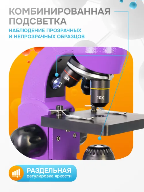 Микроскоп Levenhuk Rainbow 50L PLUS фото