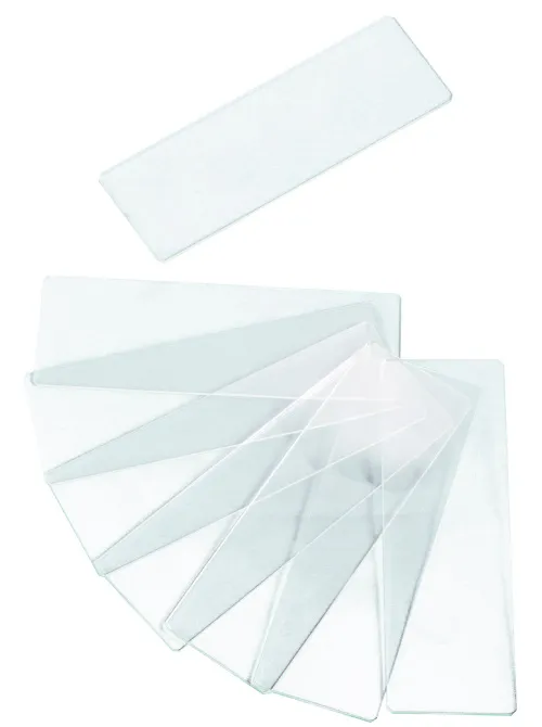 Стекла предметные с двумя лунками Levenhuk G50 2H, 50 шт. фотография