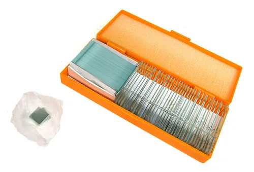 Набор готовых микропрепаратов Levenhuk N38 NG фотография