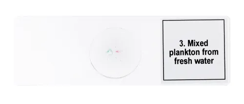 Набор микропрепаратов Levenhuk Discovery Prof DPS 5. «Жизнь в капле воды» фотография