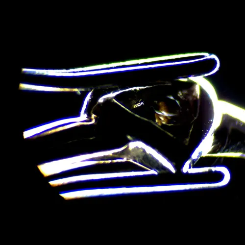 Микроскоп стереоскопический MAGUS Stereo 7T изображение