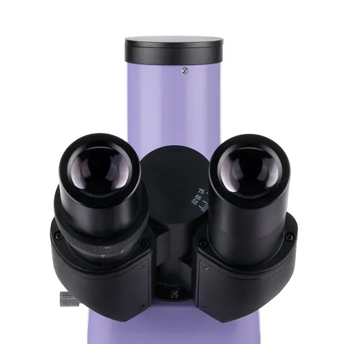 Микроскоп люминесцентный цифровой MAGUS Lum D400 изображение