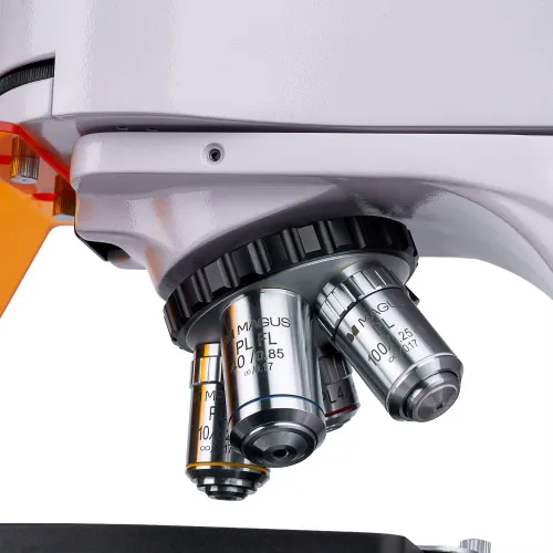 Микроскоп люминесцентный цифровой MAGUS Lum D400L картинка