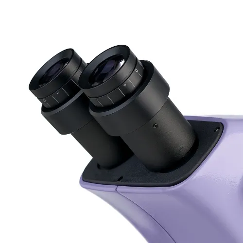 Микроскоп стереоскопический цифровой MAGUS Stereo D9T изображение