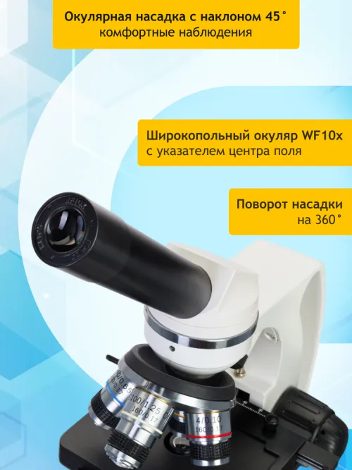 Микроскоп Levenhuk Discovery Atto Polar с книгой картинка