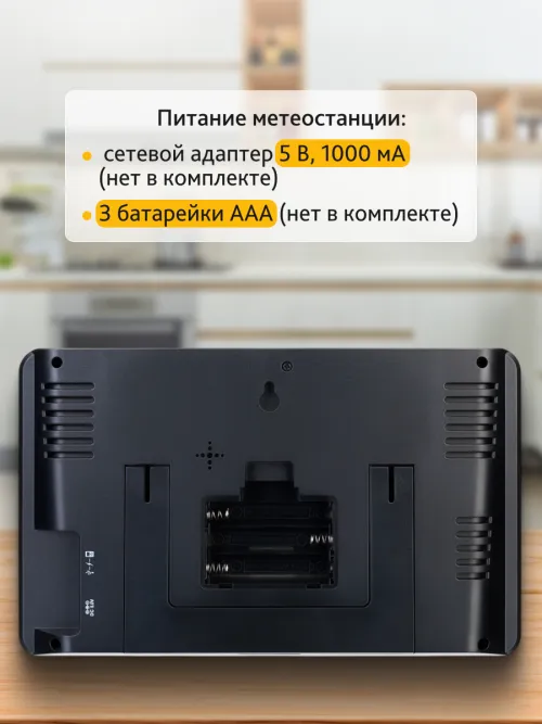 Метеостанция Levenhuk Wezzer PLUS LP80 фото