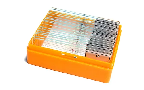 Набор готовых микропрепаратов Levenhuk N18 NG картинка