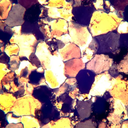 Микроскоп поляризационный MAGUS Pol 800 изображение