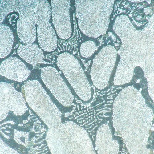 Микроскоп металлографический инвертированный цифровой MAGUS Metal VD700 картинка