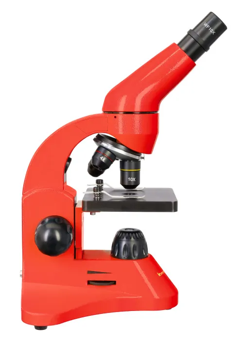 Микроскоп Levenhuk Rainbow 50L фото