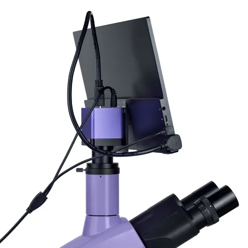 Микроскоп биологический цифровой MAGUS Bio D250T LCD изображение