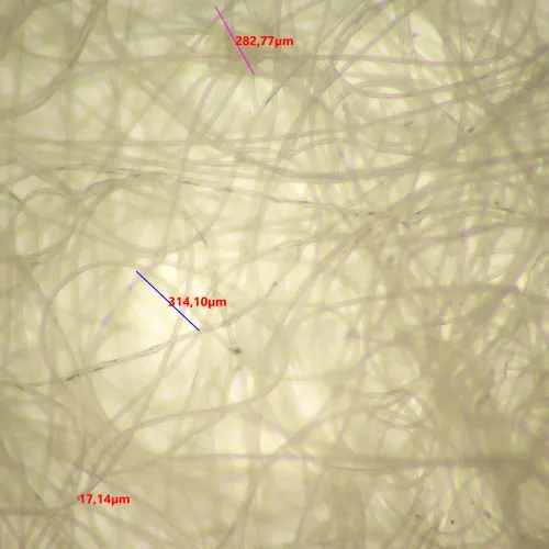 Микроскоп стереоскопический MAGUS Stereo 9T фото