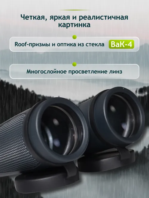 Бинокль Levenhuk New Karma PLUS 10x42 фотография