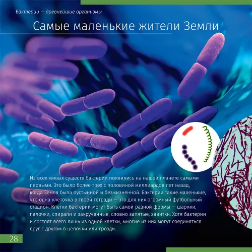 Книга знаний «Невидимый мир». Твердая обложка картинка