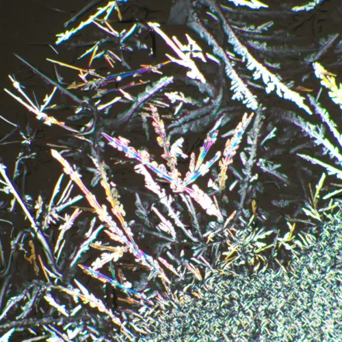 Устройство простой поляризации MAGUS SPD3 изображение